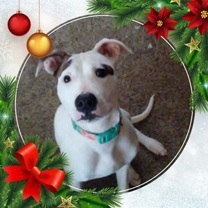 Meet your Posher, Kelli